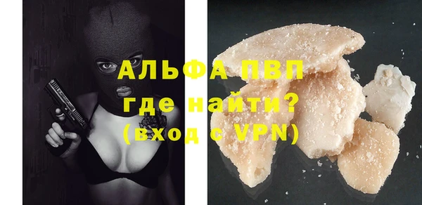 ГАЛЛЮЦИНОГЕННЫЕ ГРИБЫ Вяземский