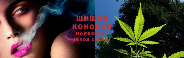 ГАЛЛЮЦИНОГЕННЫЕ ГРИБЫ Вяземский