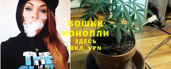 ГАЛЛЮЦИНОГЕННЫЕ ГРИБЫ Вяземский