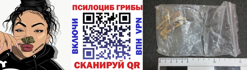 Псилоцибиновые грибы мицелий  MEGA ссылка  Звенигород  наркотики 